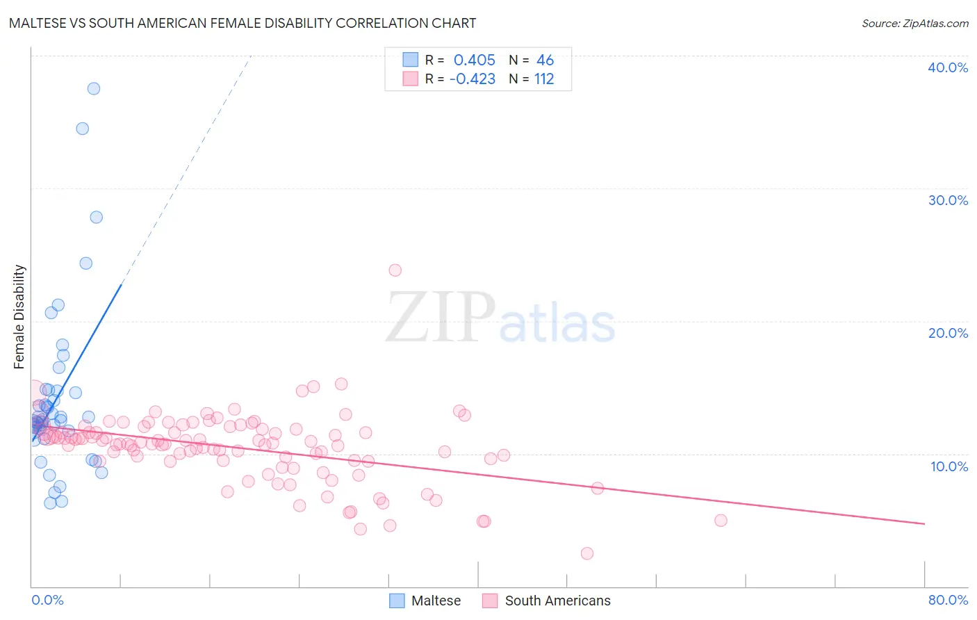 Maltese vs South American Female Disability