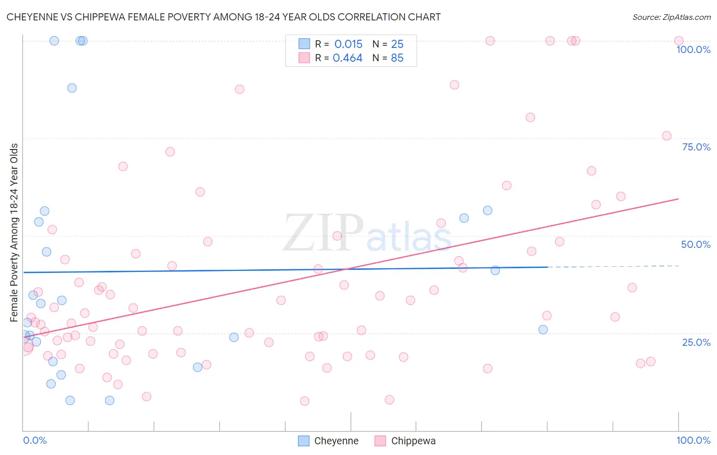 Cheyenne vs Chippewa Female Poverty Among 18-24 Year Olds