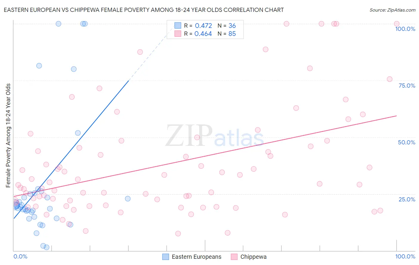 Eastern European vs Chippewa Female Poverty Among 18-24 Year Olds