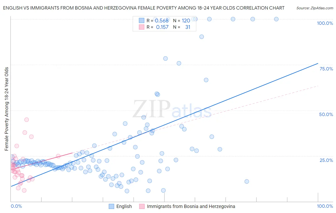 English vs Immigrants from Bosnia and Herzegovina Female Poverty Among 18-24 Year Olds