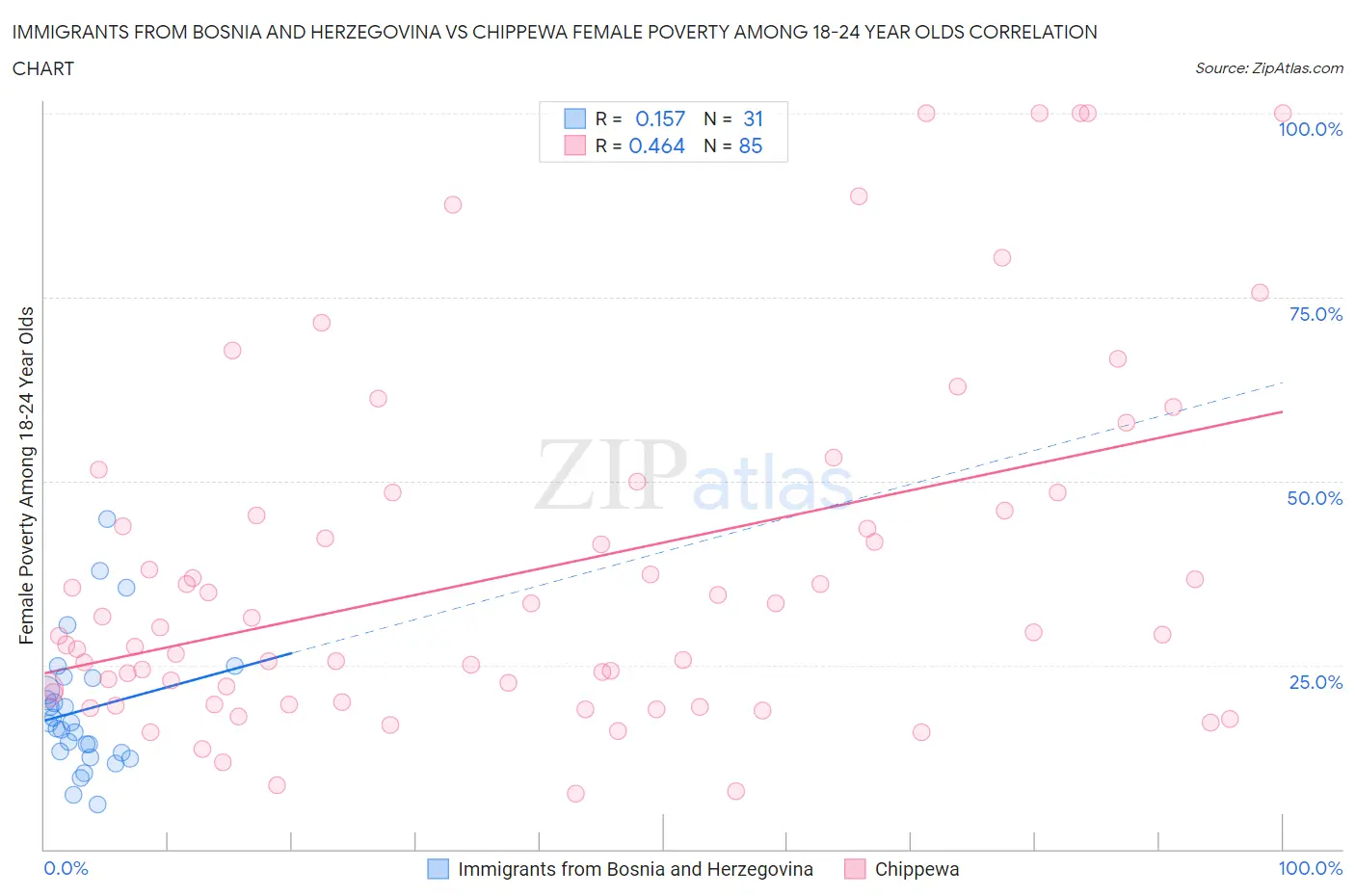 Immigrants from Bosnia and Herzegovina vs Chippewa Female Poverty Among 18-24 Year Olds
