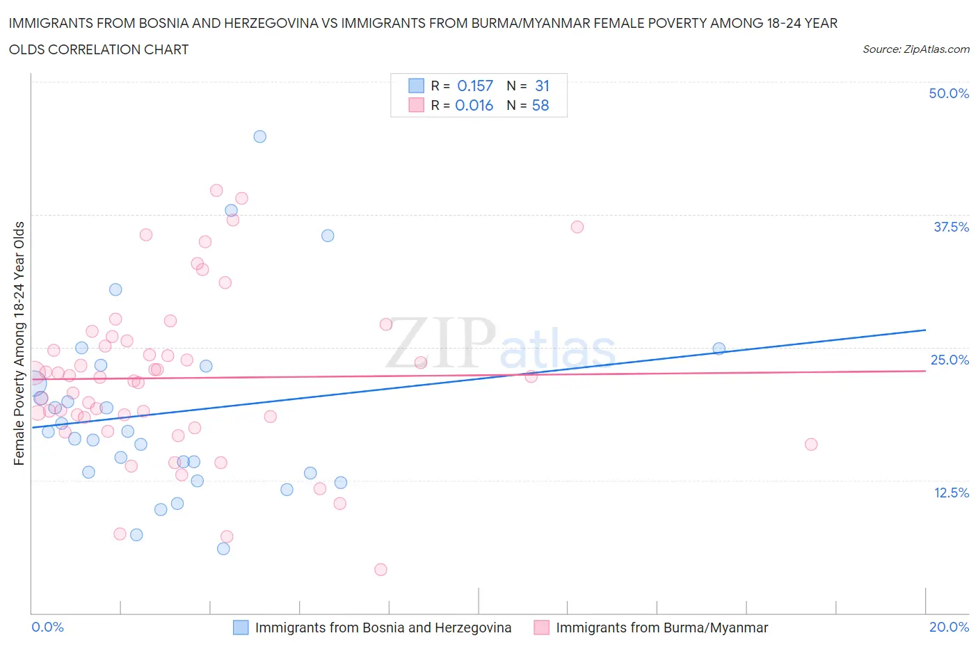 Immigrants from Bosnia and Herzegovina vs Immigrants from Burma/Myanmar Female Poverty Among 18-24 Year Olds