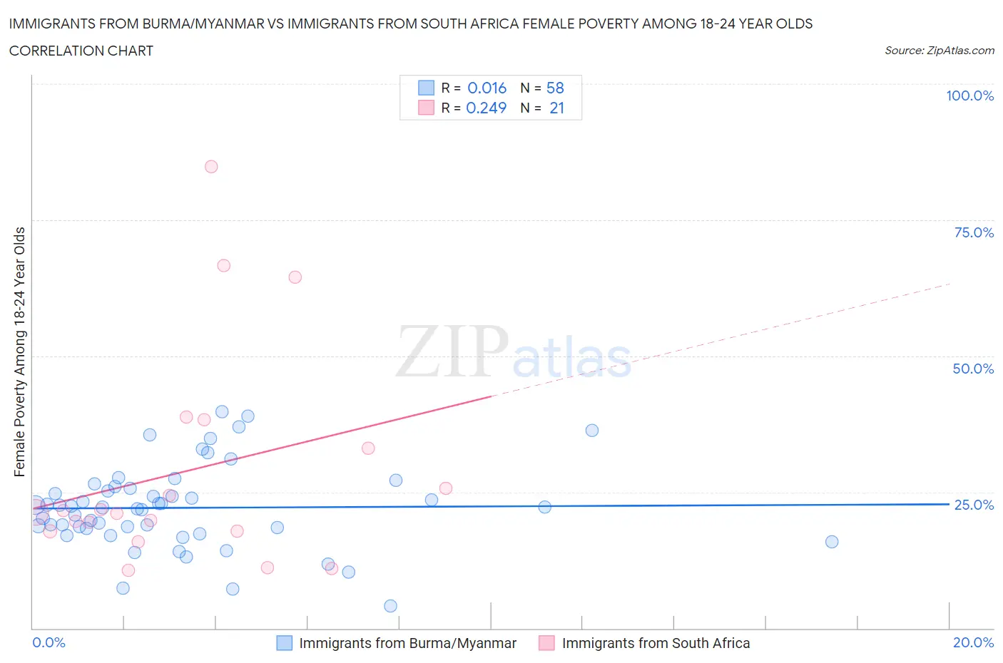 Immigrants from Burma/Myanmar vs Immigrants from South Africa Female Poverty Among 18-24 Year Olds