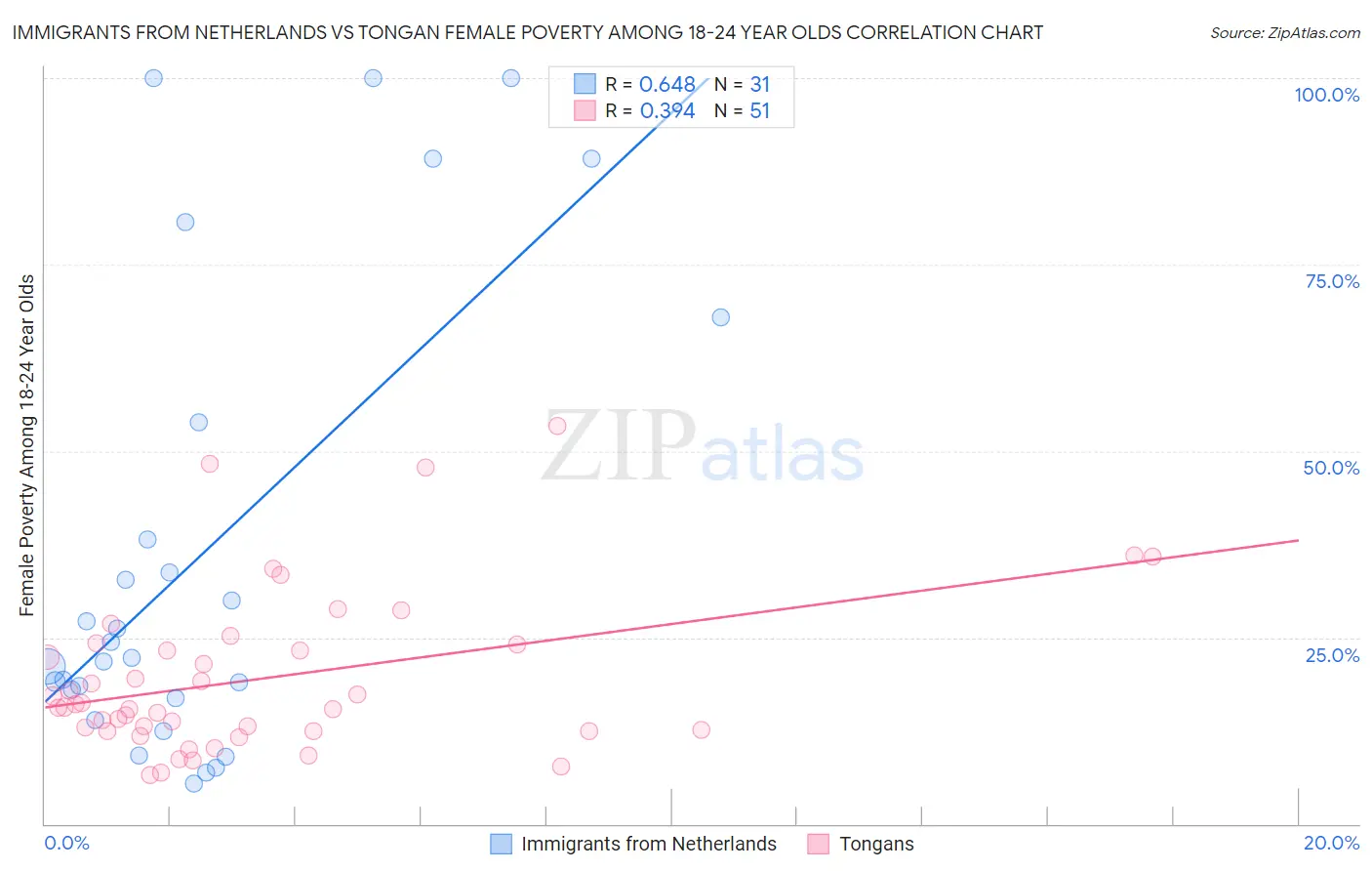 Immigrants from Netherlands vs Tongan Female Poverty Among 18-24 Year Olds