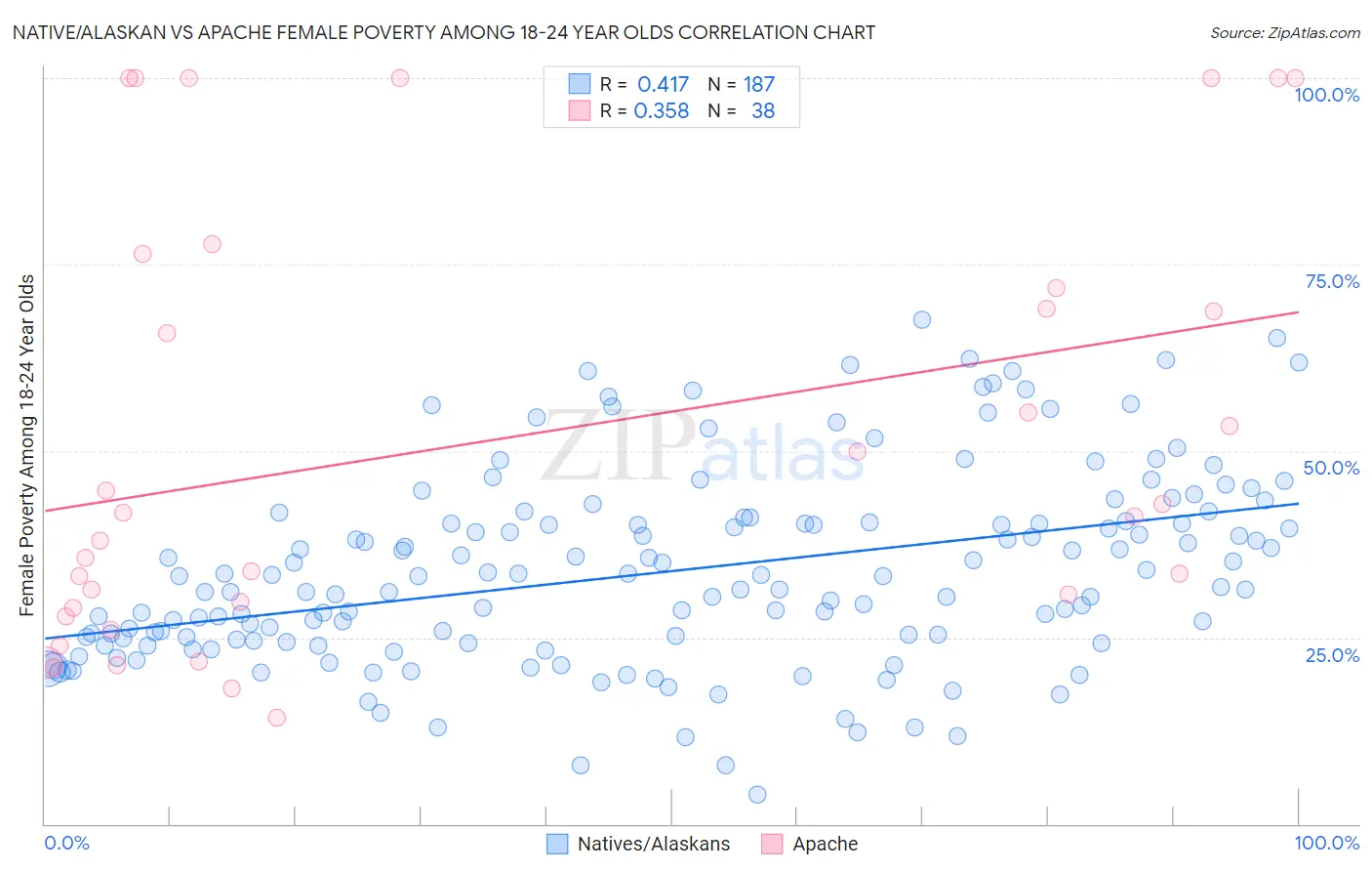 Native/Alaskan vs Apache Female Poverty Among 18-24 Year Olds