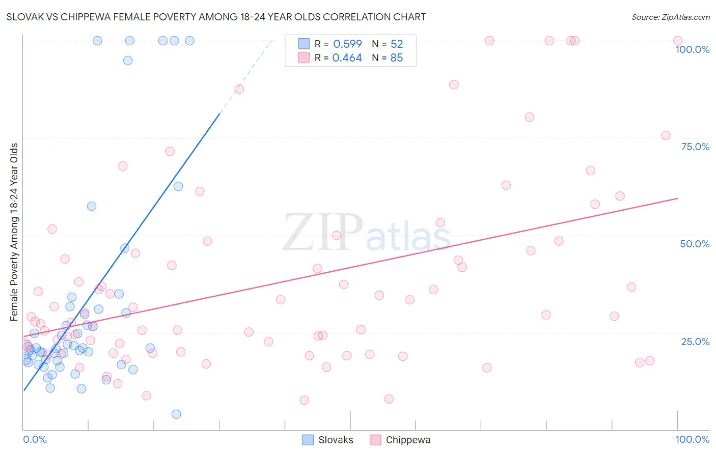 Slovak vs Chippewa Female Poverty Among 18-24 Year Olds
