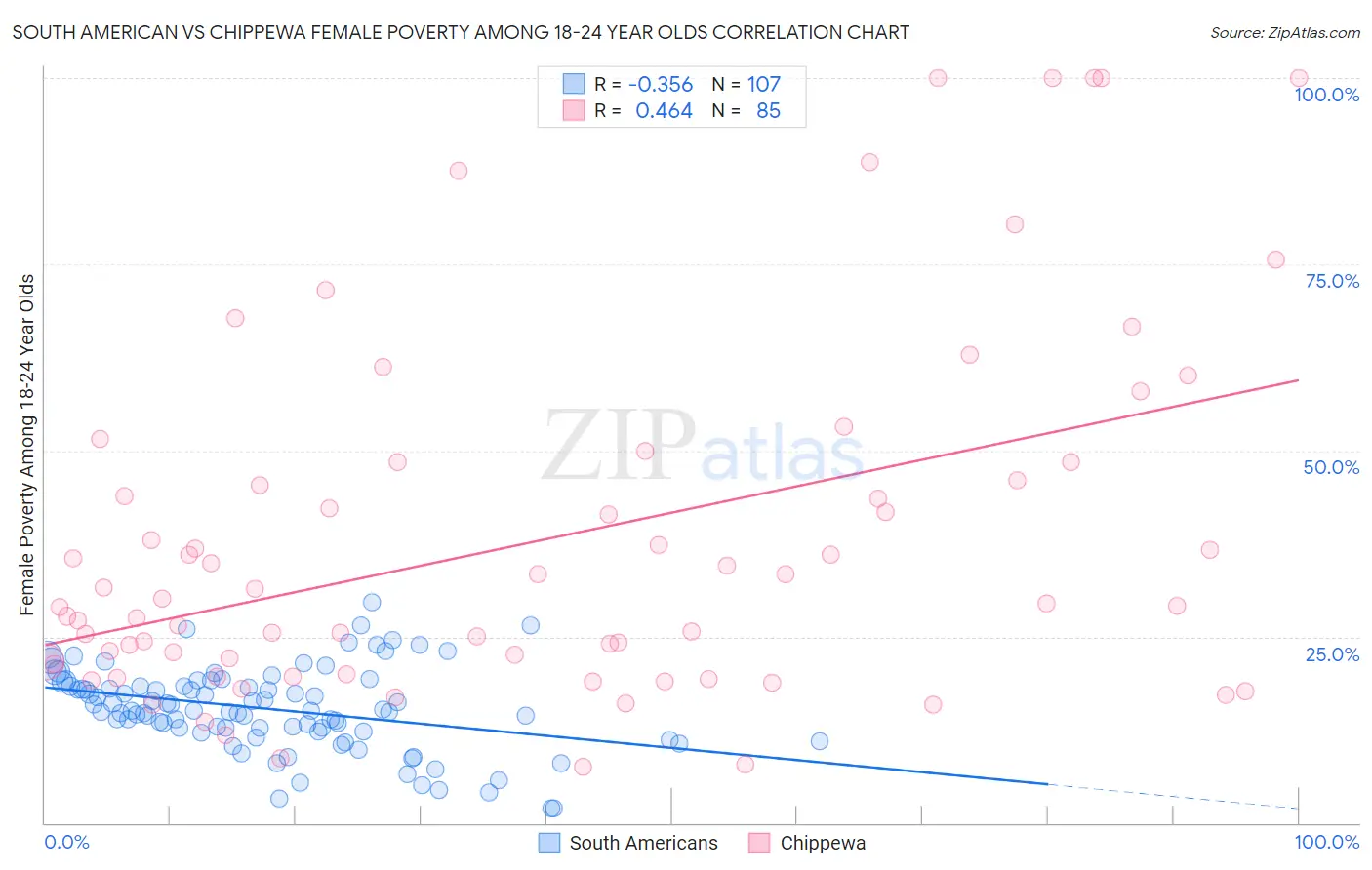 South American vs Chippewa Female Poverty Among 18-24 Year Olds