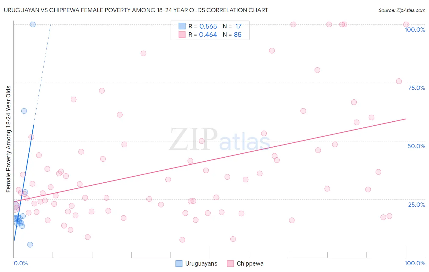 Uruguayan vs Chippewa Female Poverty Among 18-24 Year Olds