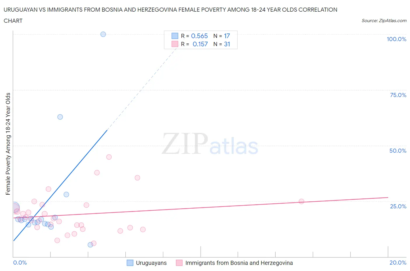 Uruguayan vs Immigrants from Bosnia and Herzegovina Female Poverty Among 18-24 Year Olds