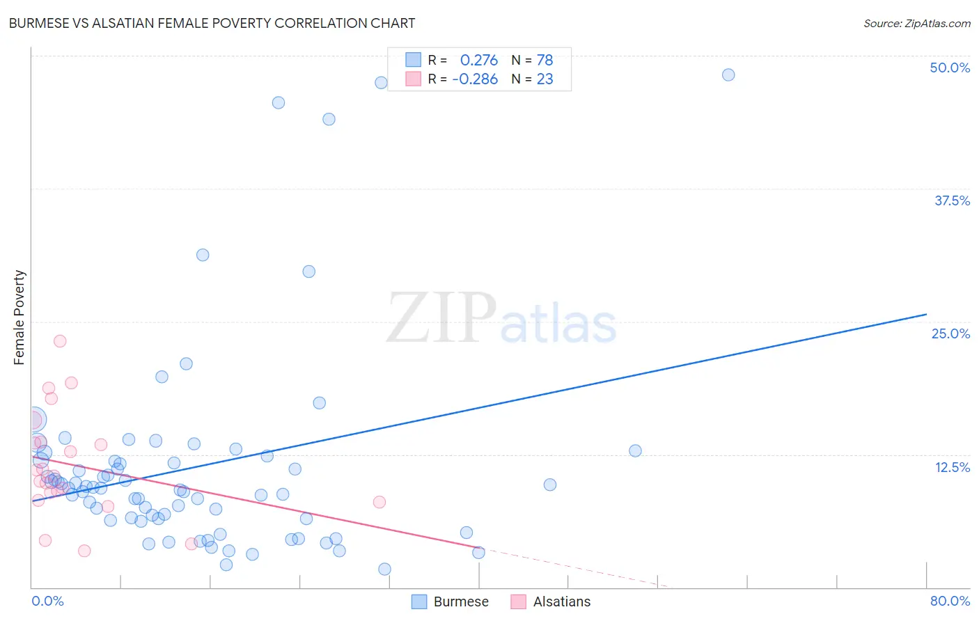 Burmese vs Alsatian Female Poverty