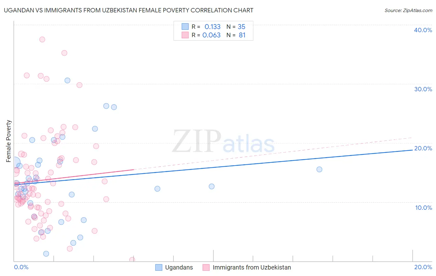 Ugandan vs Immigrants from Uzbekistan Female Poverty