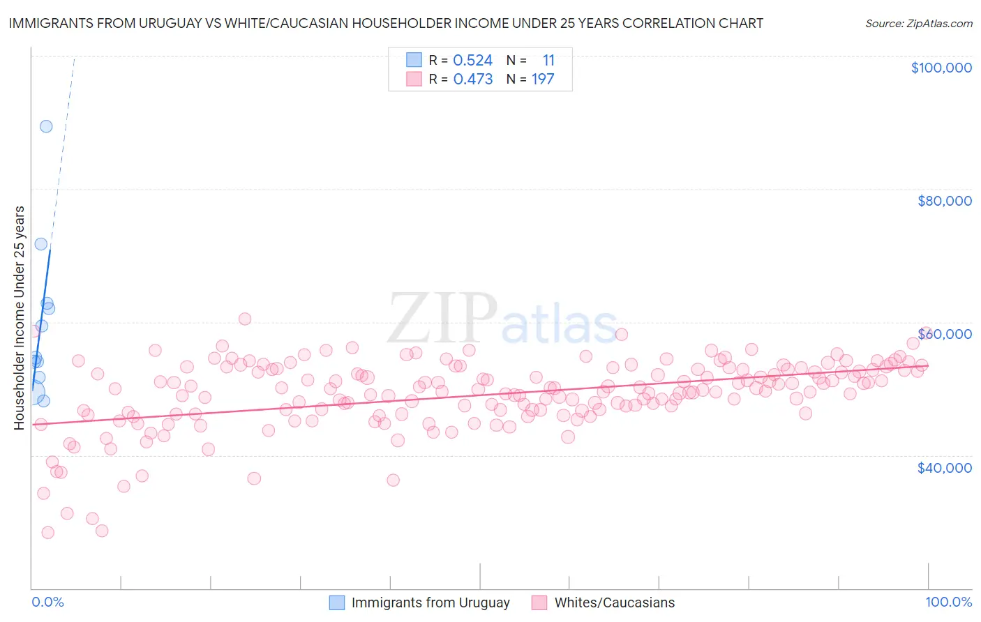 Immigrants from Uruguay vs White/Caucasian Householder Income Under 25 years
