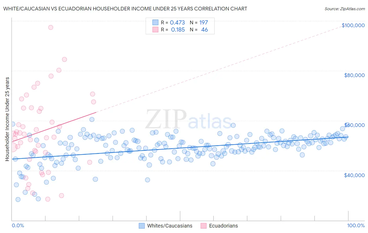 White/Caucasian vs Ecuadorian Householder Income Under 25 years