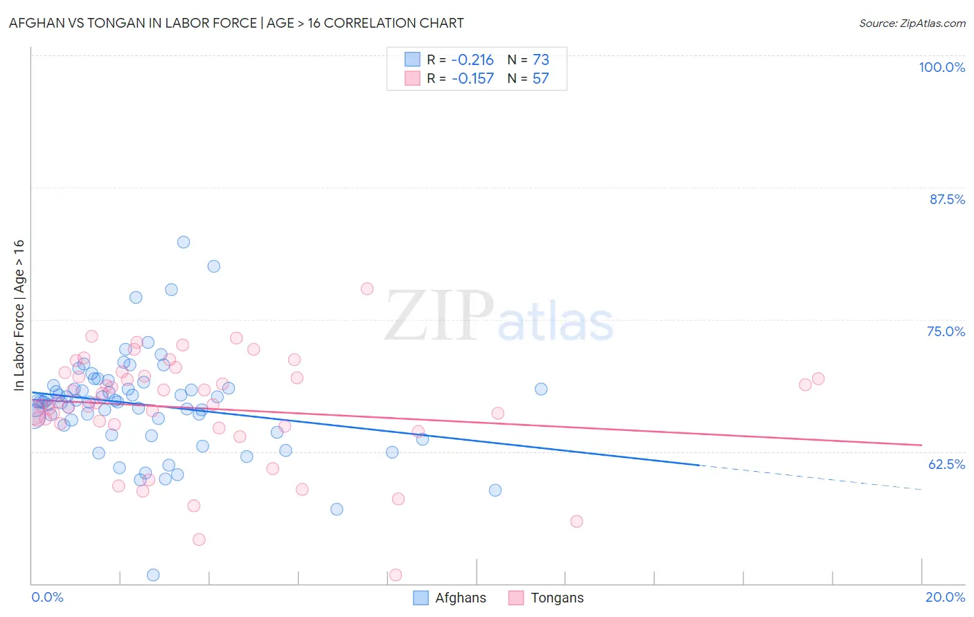 Afghan vs Tongan In Labor Force | Age > 16