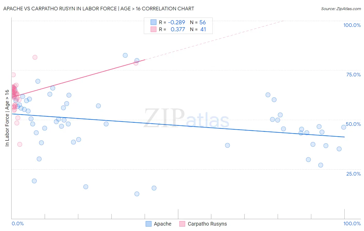 Apache vs Carpatho Rusyn In Labor Force | Age > 16