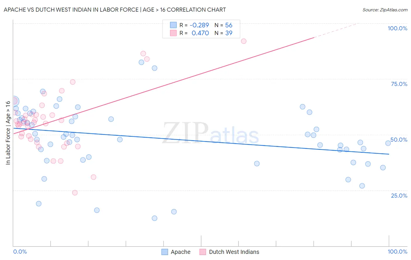 Apache vs Dutch West Indian In Labor Force | Age > 16