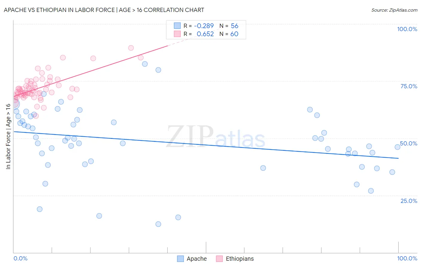 Apache vs Ethiopian In Labor Force | Age > 16