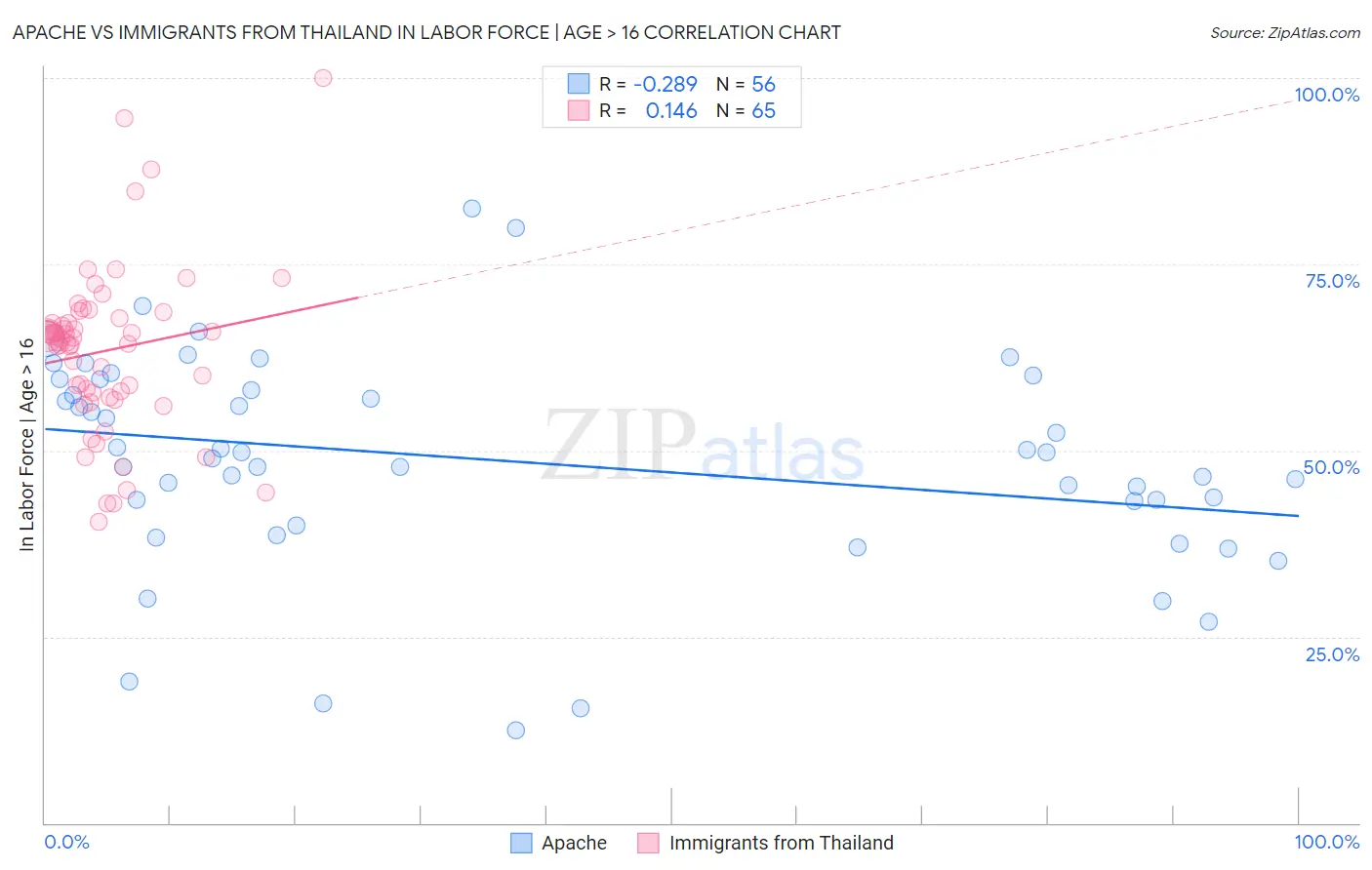 Apache vs Immigrants from Thailand In Labor Force | Age > 16