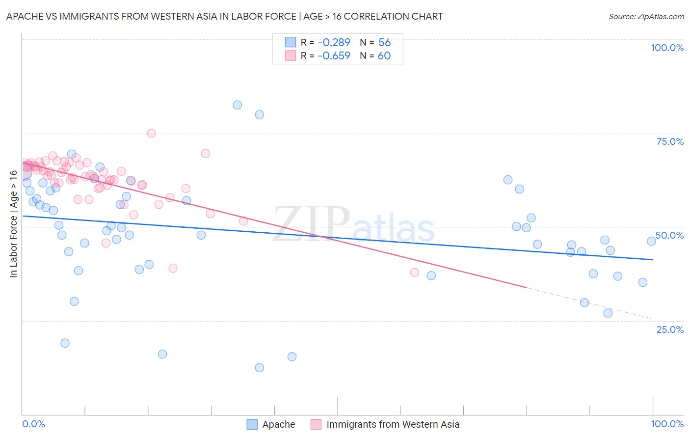 Apache vs Immigrants from Western Asia In Labor Force | Age > 16