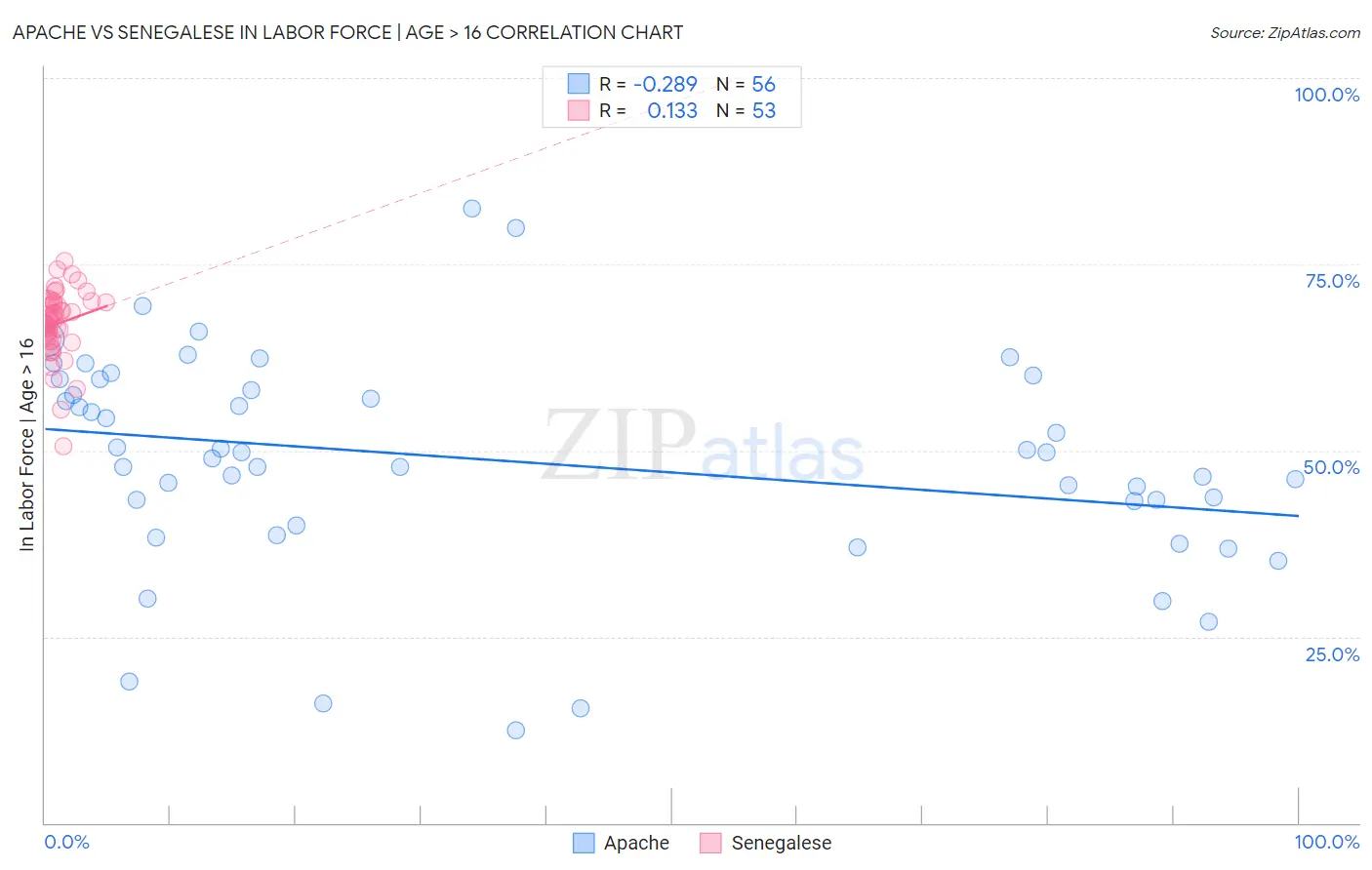 Apache vs Senegalese In Labor Force | Age > 16