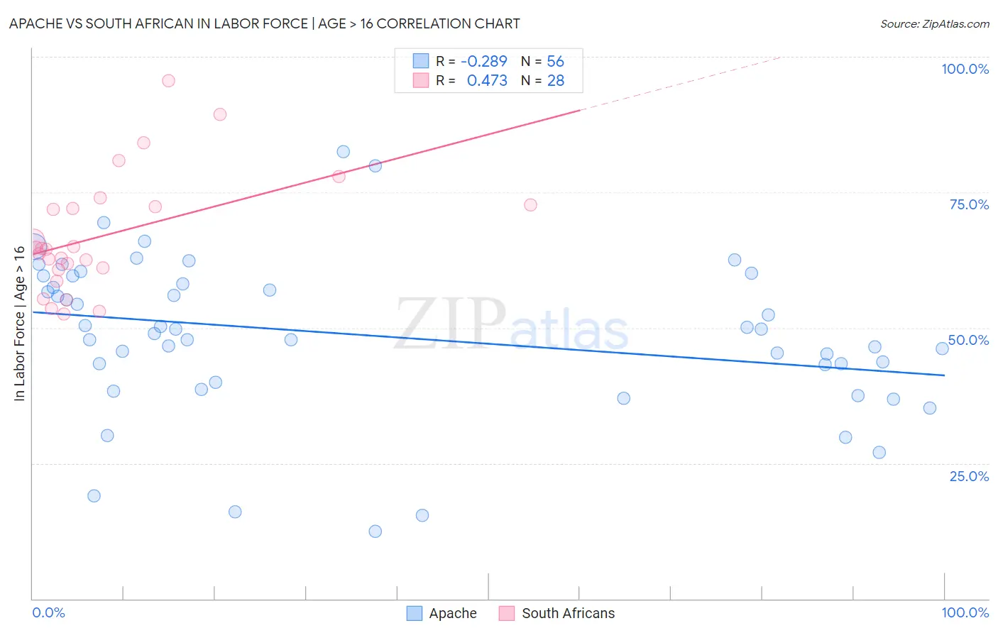 Apache vs South African In Labor Force | Age > 16