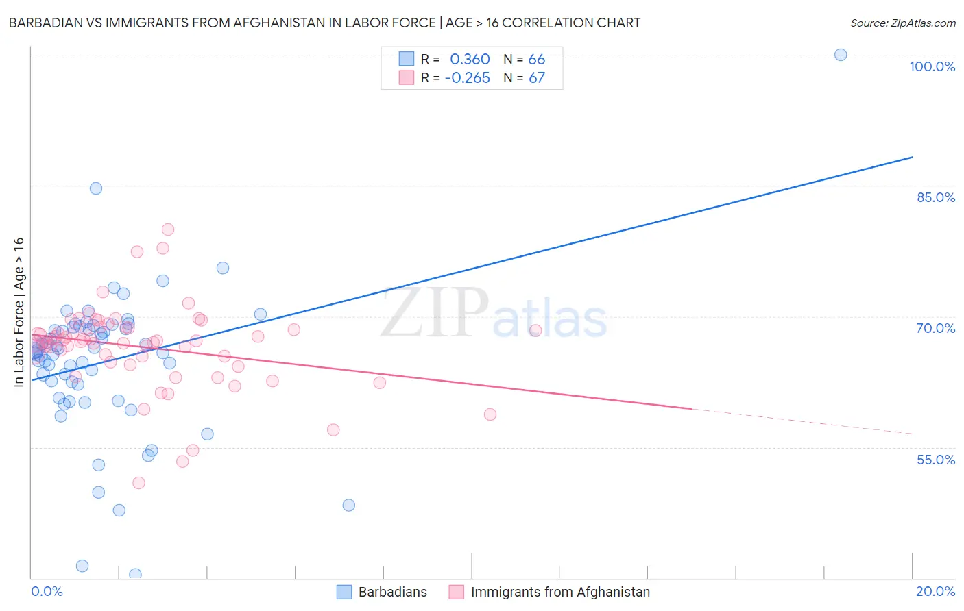 Barbadian vs Immigrants from Afghanistan In Labor Force | Age > 16