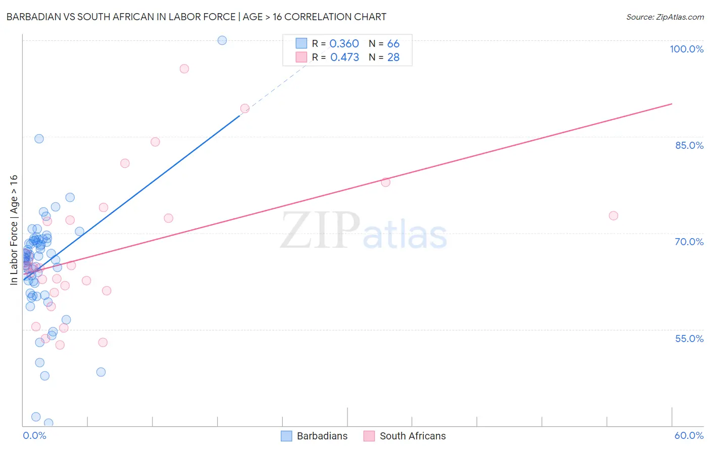 Barbadian vs South African In Labor Force | Age > 16