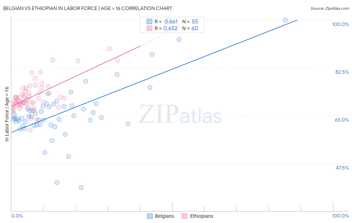 Belgian vs Ethiopian In Labor Force | Age > 16