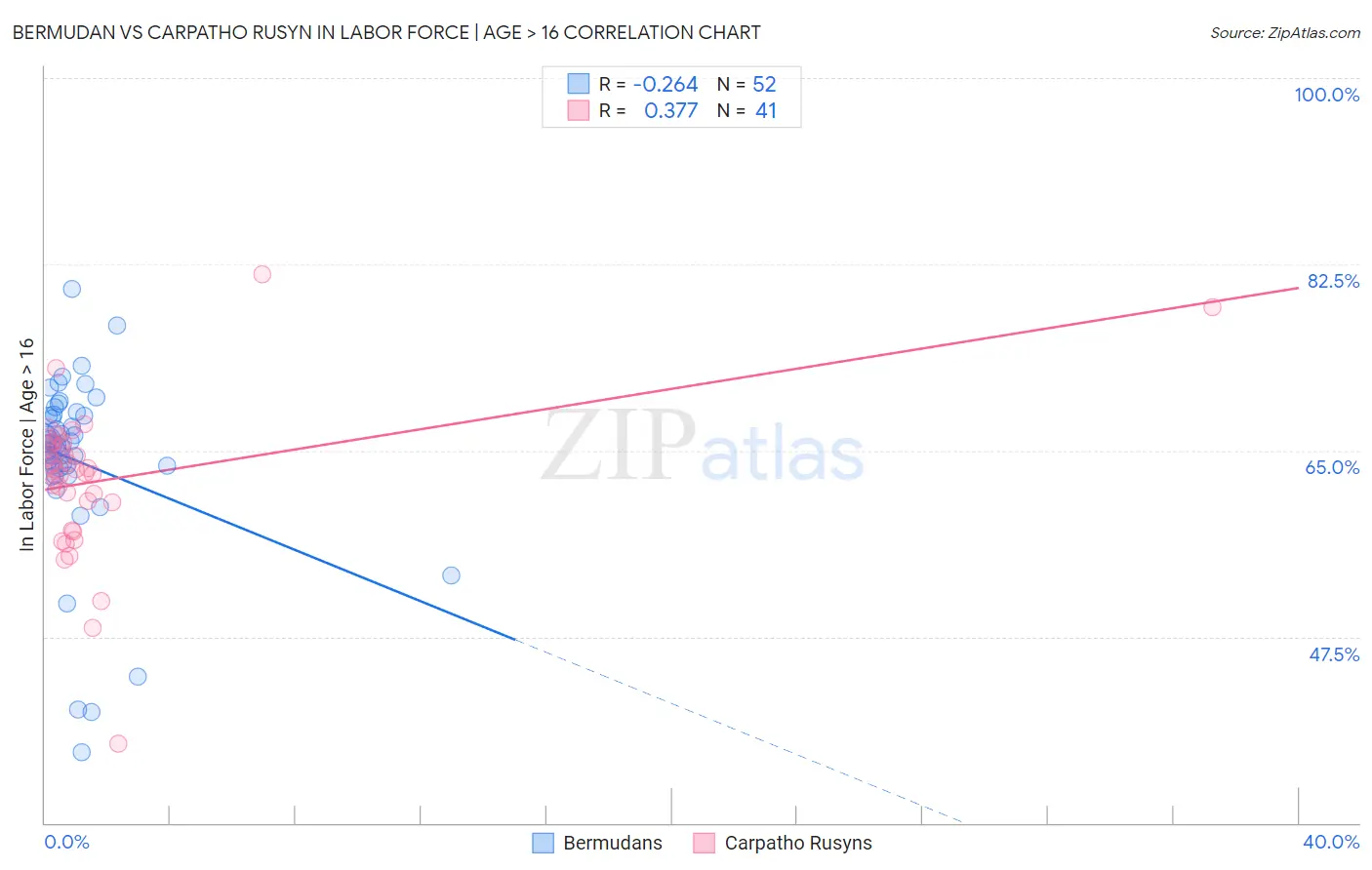 Bermudan vs Carpatho Rusyn In Labor Force | Age > 16