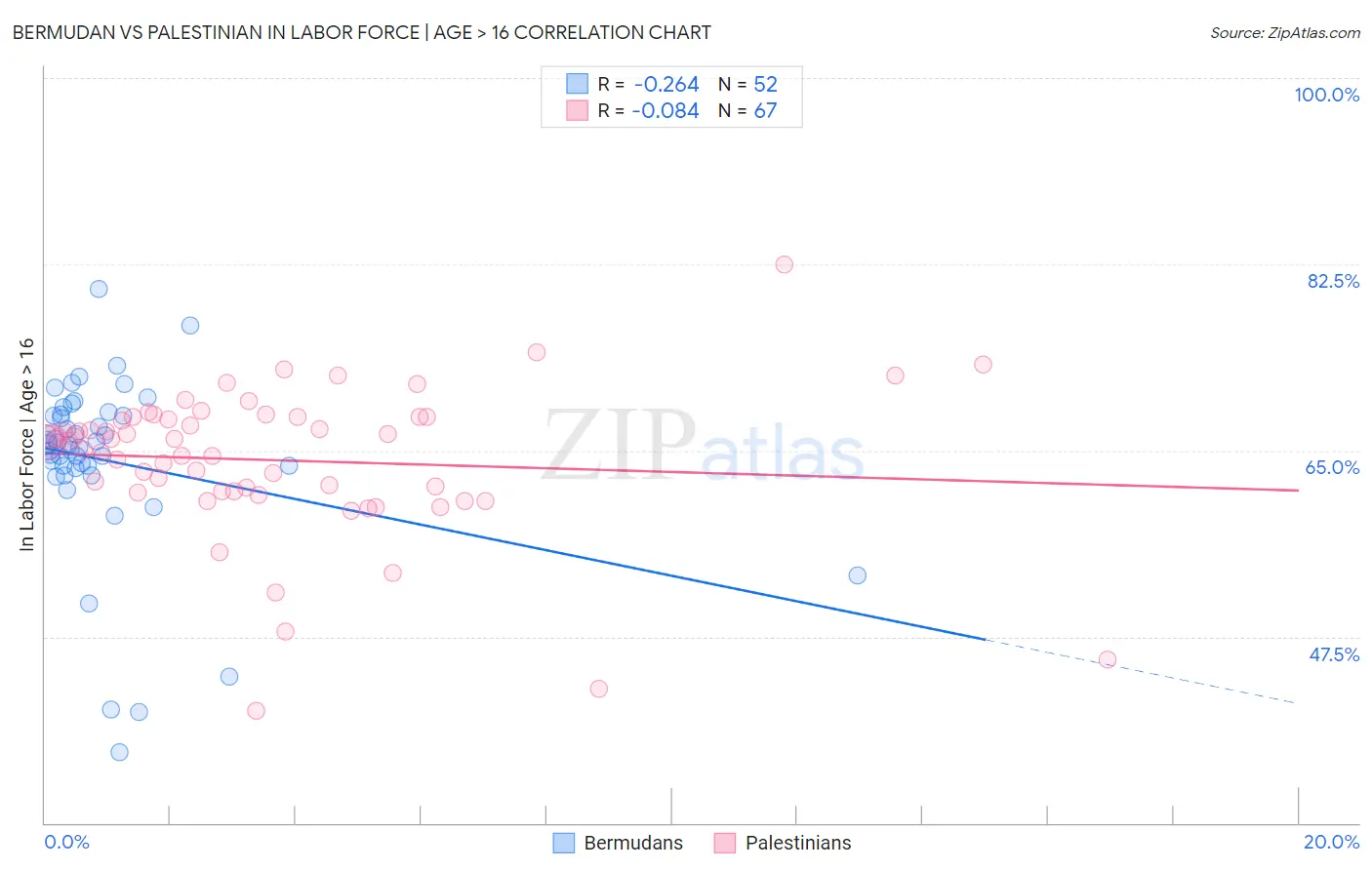 Bermudan vs Palestinian In Labor Force | Age > 16