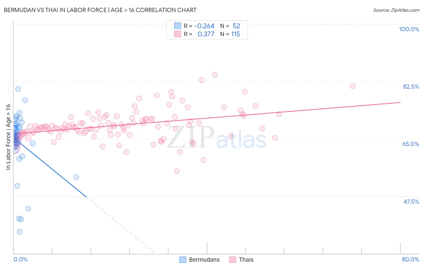 Bermudan vs Thai In Labor Force | Age > 16