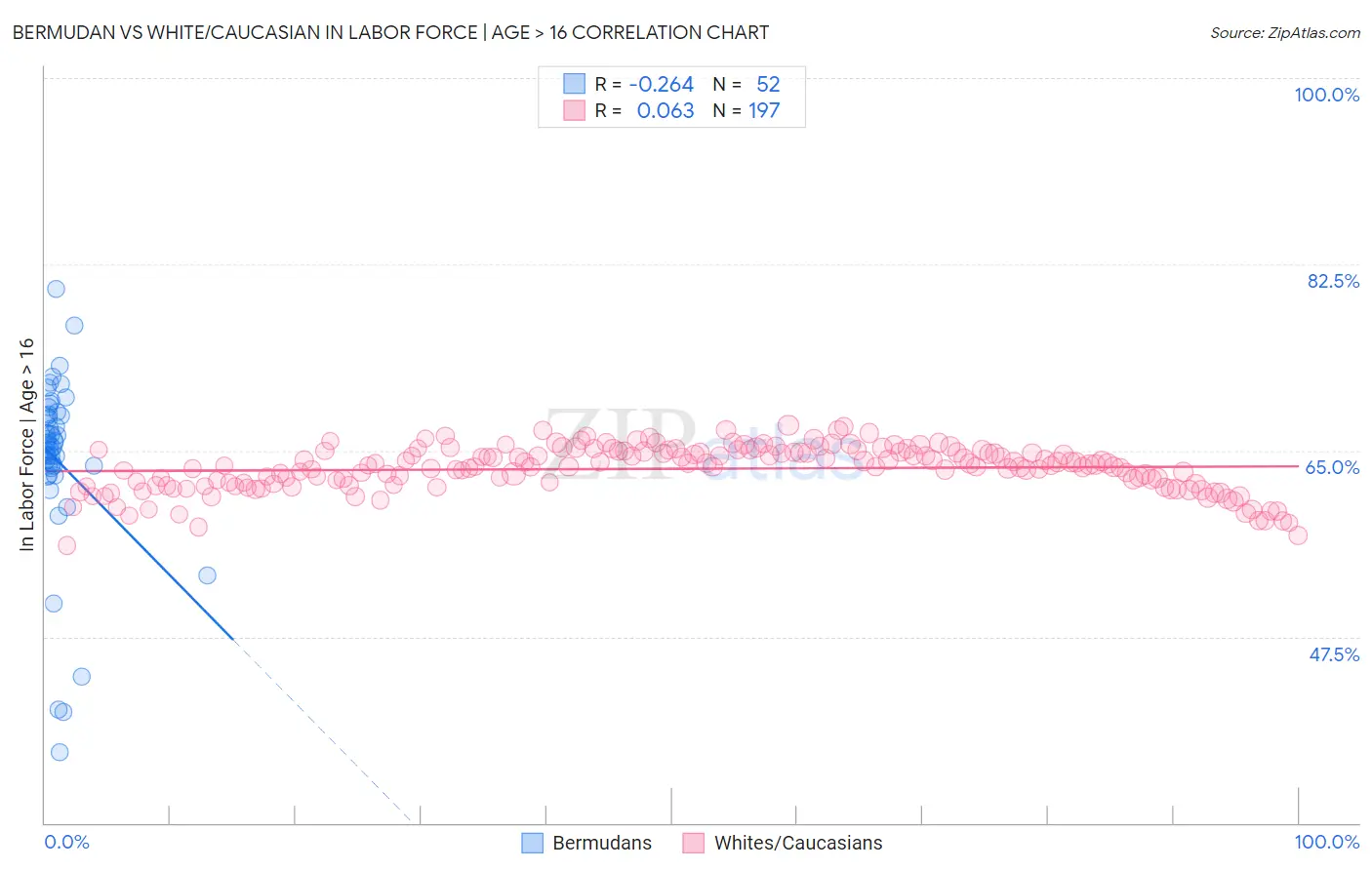 Bermudan vs White/Caucasian In Labor Force | Age > 16
