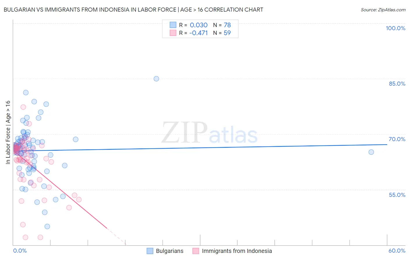 Bulgarian vs Immigrants from Indonesia In Labor Force | Age > 16