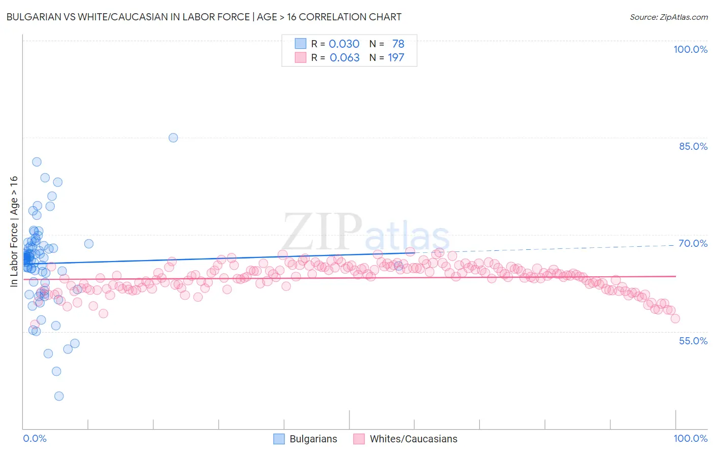 Bulgarian vs White/Caucasian In Labor Force | Age > 16