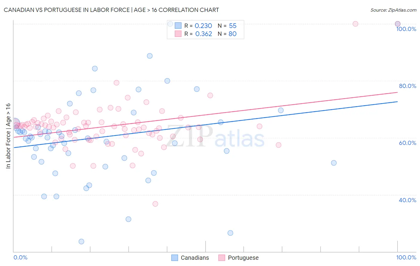 Canadian vs Portuguese In Labor Force | Age > 16