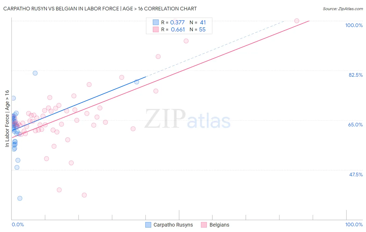 Carpatho Rusyn vs Belgian In Labor Force | Age > 16