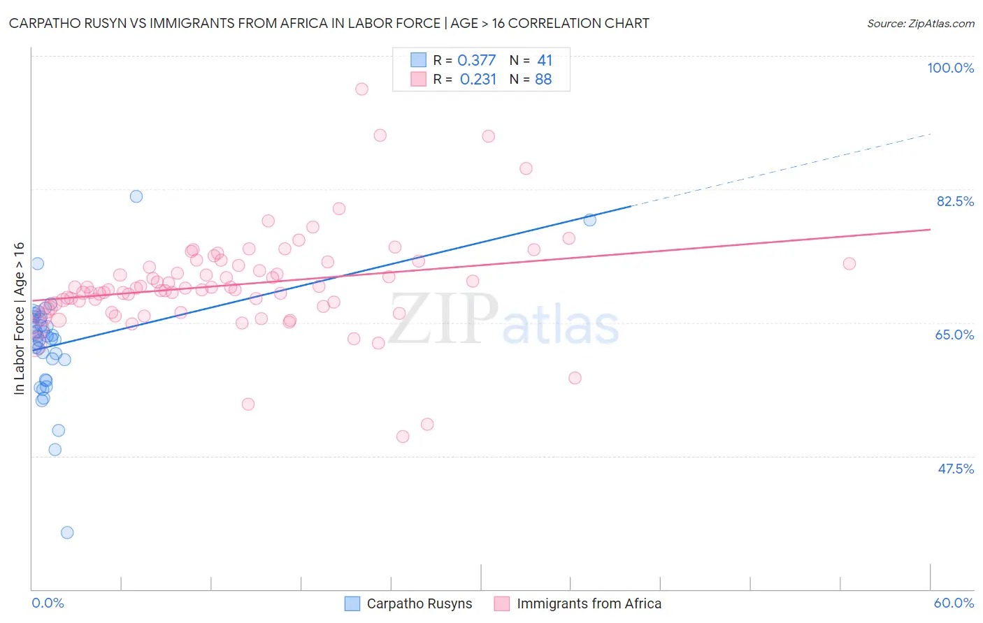 Carpatho Rusyn vs Immigrants from Africa In Labor Force | Age > 16