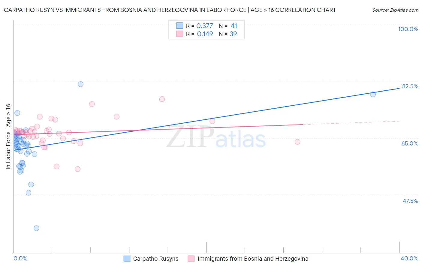 Carpatho Rusyn vs Immigrants from Bosnia and Herzegovina In Labor Force | Age > 16