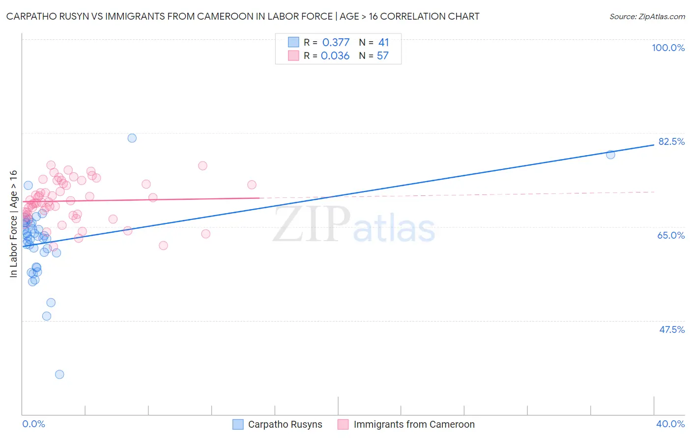 Carpatho Rusyn vs Immigrants from Cameroon In Labor Force | Age > 16