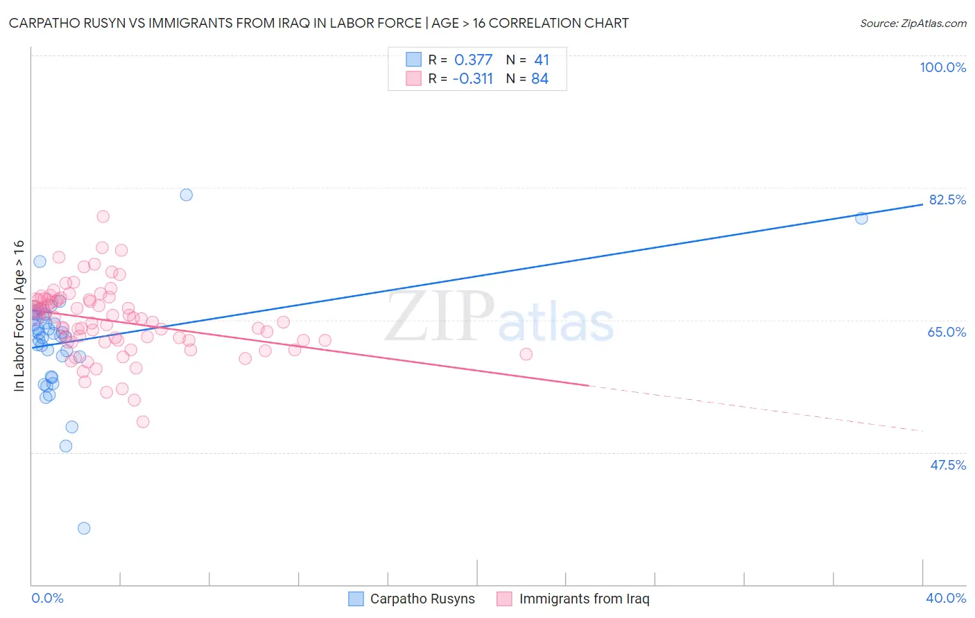 Carpatho Rusyn vs Immigrants from Iraq In Labor Force | Age > 16