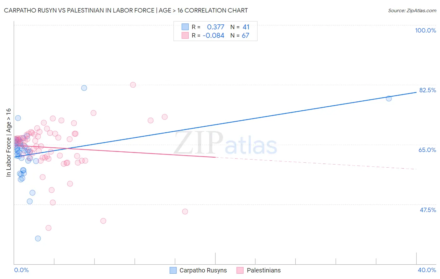 Carpatho Rusyn vs Palestinian In Labor Force | Age > 16