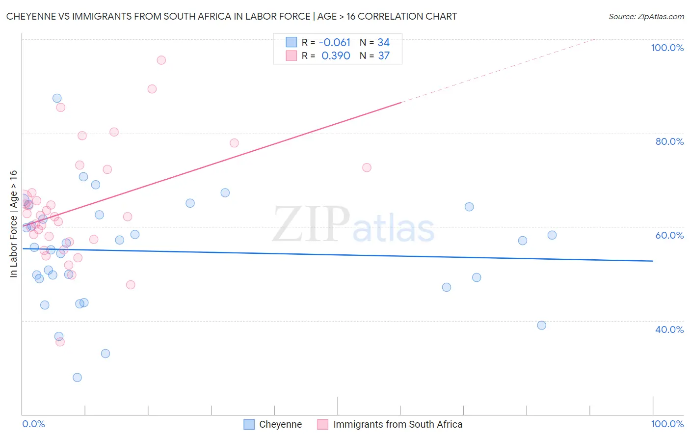 Cheyenne vs Immigrants from South Africa In Labor Force | Age > 16