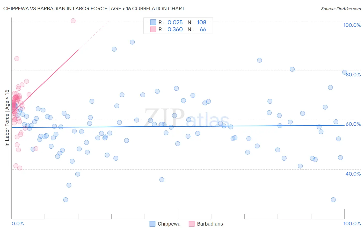 Chippewa vs Barbadian In Labor Force | Age > 16