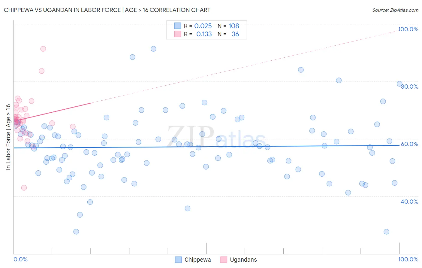 Chippewa vs Ugandan In Labor Force | Age > 16