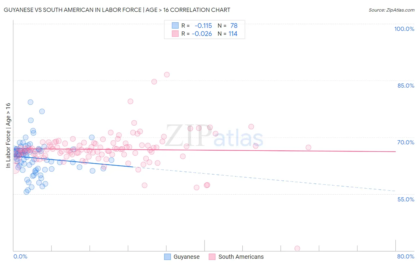 Guyanese vs South American In Labor Force | Age > 16