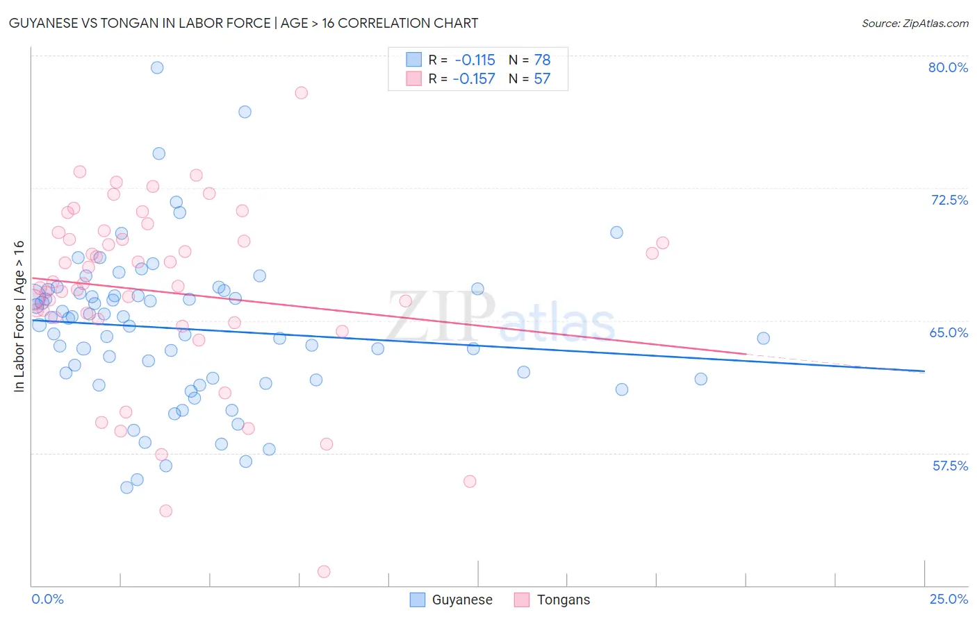 Guyanese vs Tongan In Labor Force | Age > 16