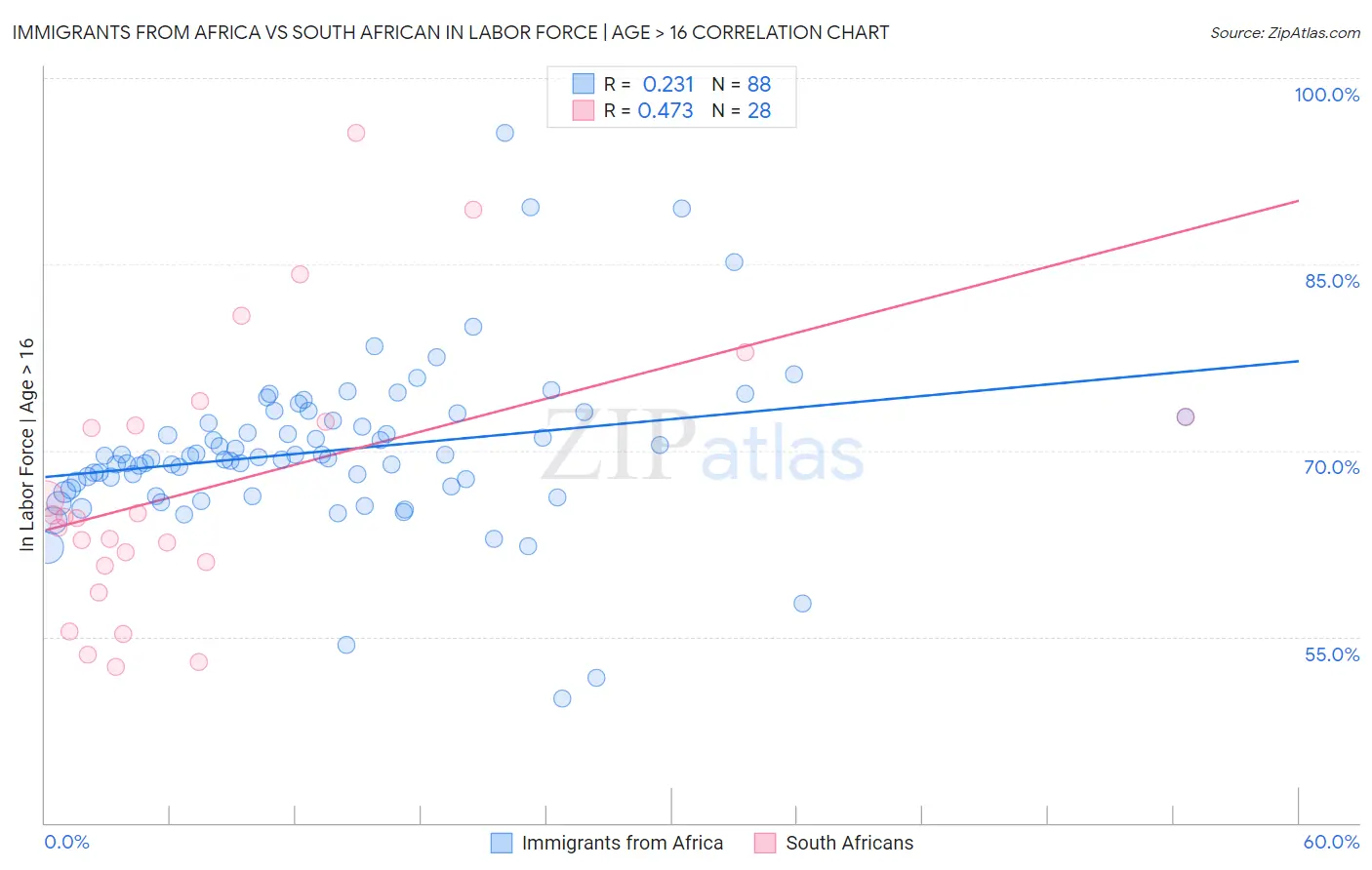 Immigrants from Africa vs South African In Labor Force | Age > 16