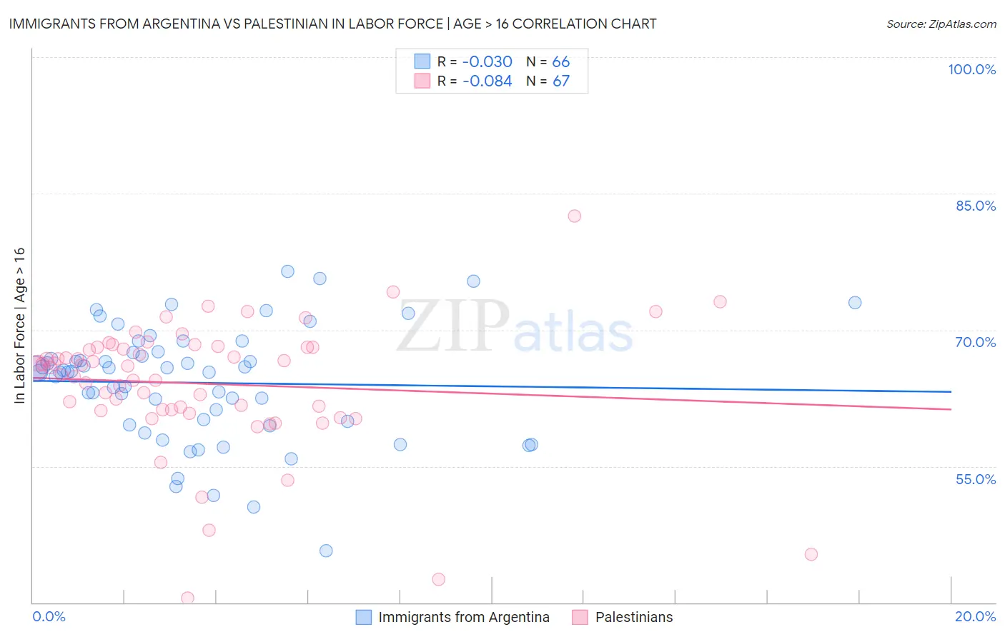 Immigrants from Argentina vs Palestinian In Labor Force | Age > 16