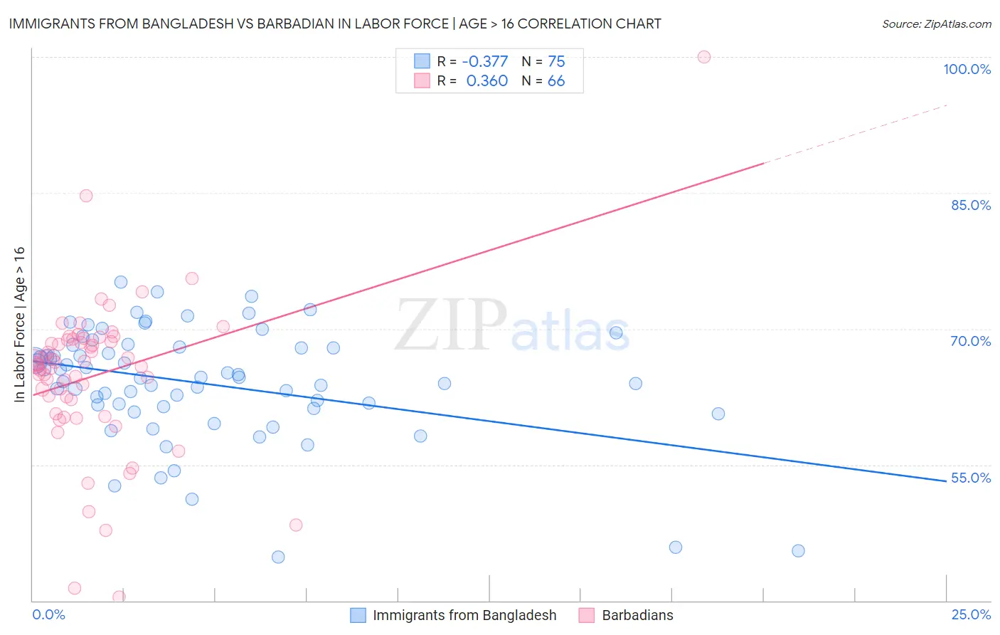 Immigrants from Bangladesh vs Barbadian In Labor Force | Age > 16