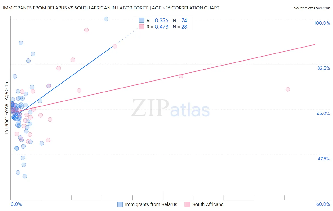 Immigrants from Belarus vs South African In Labor Force | Age > 16